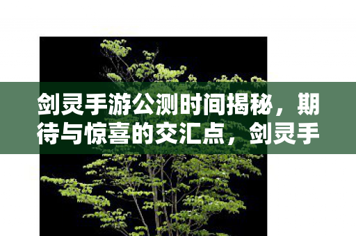 剑灵手游公测时间揭秘,期待与惊喜的交汇点,剑灵手游公测时间曝光,玩家期待与惊喜交汇 剑灵手游公测时间揭秘,期待与惊喜的交汇点,剑灵手游公测时间曝光,玩家期待与惊喜交汇