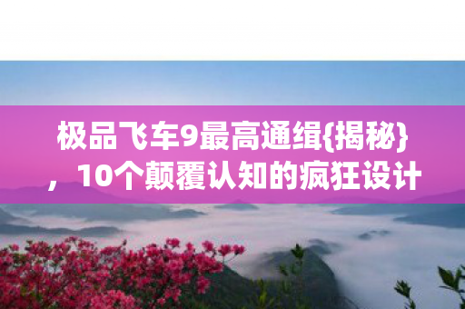 10个颠覆认知的疯狂设计图片