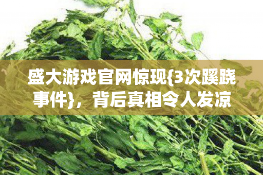 盛大游戏官网惊现图片