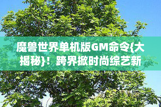 魔兽世界单机版GM命令图片