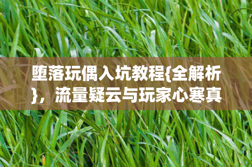 流量疑云与玩家心寒真相图片