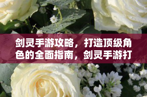 剑灵手游攻略,打造顶级角色的全面指南,剑灵手游打造顶级角色全面攻略 剑灵手游攻略,打造顶级角色的全面指南,剑灵手游打造顶级角色全面攻略