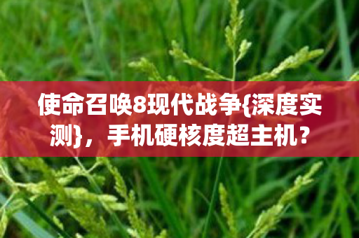 使命召唤8现代战争图片