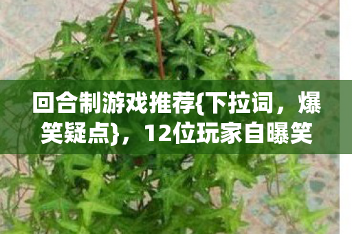 12位玩家自曝笑料不断图片