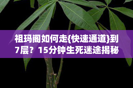 15分钟生死迷途揭秘图片