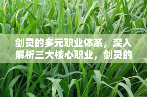 剑灵的多元职业体系,深入解析三大核心职业,剑灵的多元职业体系,深入解析三大核心职业 剑灵的多元职业体系,深入解析三大核心职业,剑灵的多元职业体系,深入解析三大核心职业