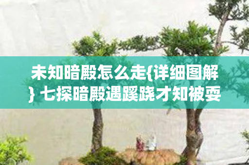 七探暗殿遇蹊跷才知被耍图片