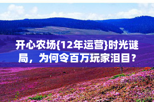 开心农场{12年运营}时光谜局,为何令百万玩家泪目? 开心农场{12年运营}时光谜局,为何令百万玩家泪目?