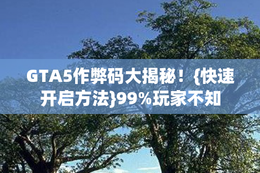 GTA5作弊码大揭秘图片
