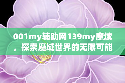 001my辅助网139my魔域图片