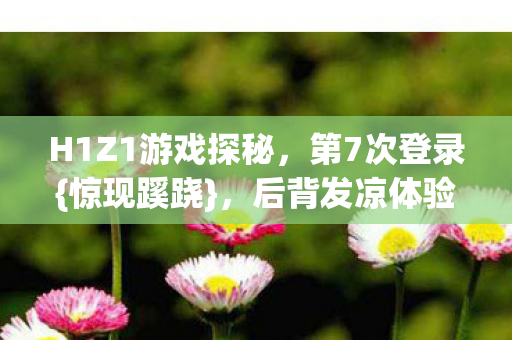 H1Z1游戏探秘图片