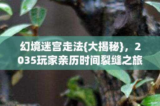 2035玩家亲历时间裂缝之旅图片