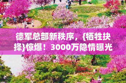 3000万隐情曝光图片