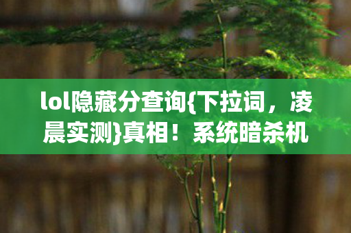 lol隐藏分查询图片
