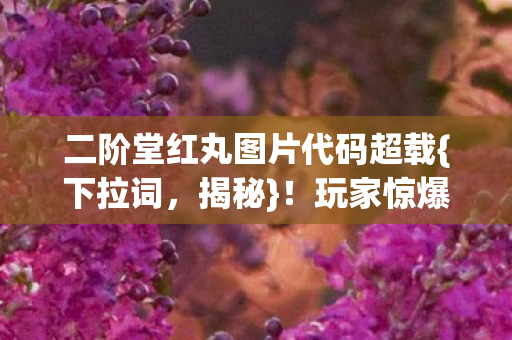 二阶堂红丸图片代码超载图片