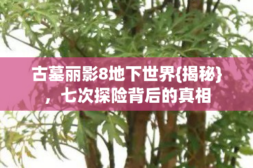 古墓丽影8地下世界{揭秘},七次探险背后的真相 古墓丽影8地下世界{揭秘},七次探险背后的真相