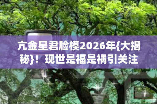亢金星君脸模2026年图片