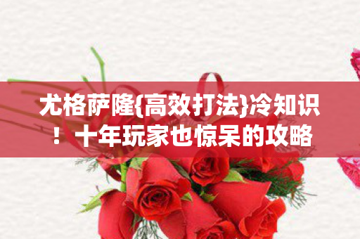 十年玩家也惊呆的攻略图片