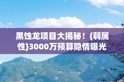 3000万预算隐情曝光图片