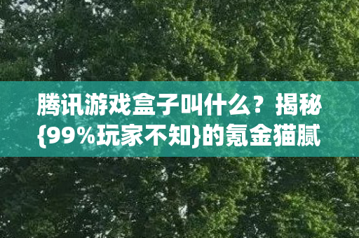 腾讯游戏盒子叫什么图片