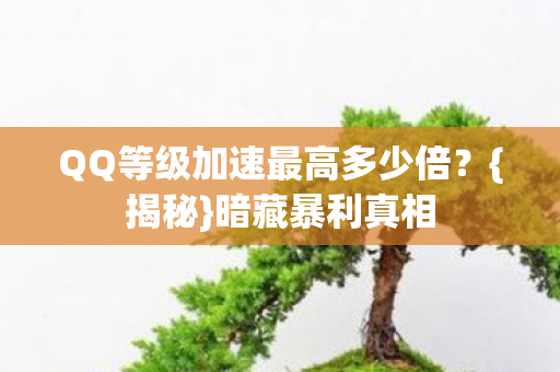 QQ等级加速最高多少倍图片