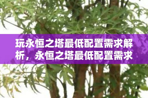 玩永恒之塔最低配置需求解析图片