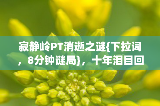 寂静岭PT消逝之谜{下拉词,8分钟谜局},十年泪目回顾 寂静岭PT消逝之谜{下拉词,8分钟谜局},十年泪目回顾