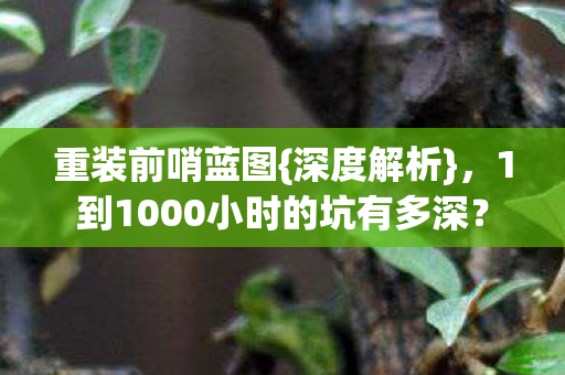 重装前哨蓝图{深度解析},1到1000小时的坑有多深? 重装前哨蓝图{深度解析},1到1000小时的坑有多深?