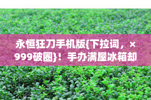 手办满屋冰箱却空了图片