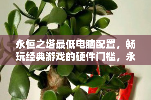 永恒之塔最低电脑配置要求图片