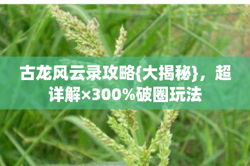 古龙风云录攻略图片