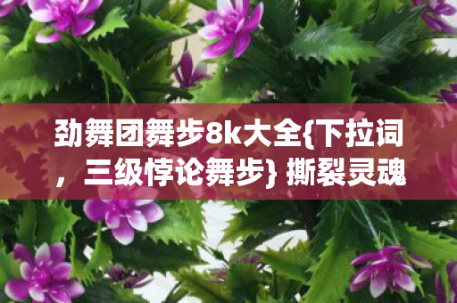 劲舞团舞步8k大全图片