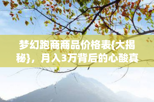 月入3万背后的心酸真相图片