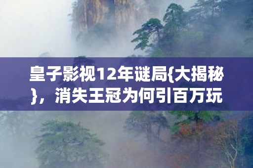 皇子影视12年谜局{大揭秘}，消失王冠为何引百万玩家泪目？