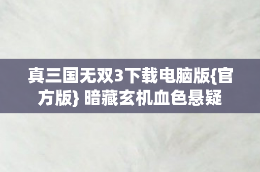 真三国无双3下载电脑版图片