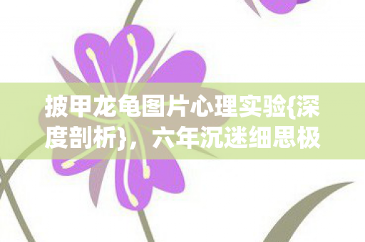 披甲龙龟图片心理实验图片