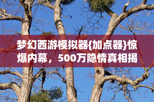 500万隐情真相揭晓图片