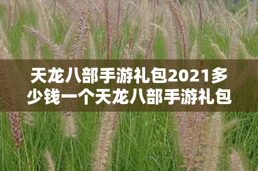天龙八部手游礼包2021多少钱一个天龙八部手游礼包2021价格揭秘图片