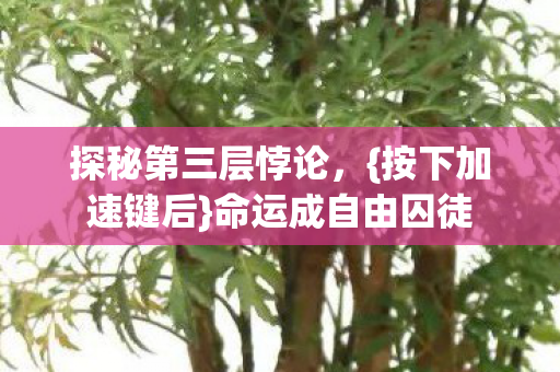 探秘第三层悖论图片
