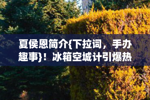 冰箱空城计引爆热议图片