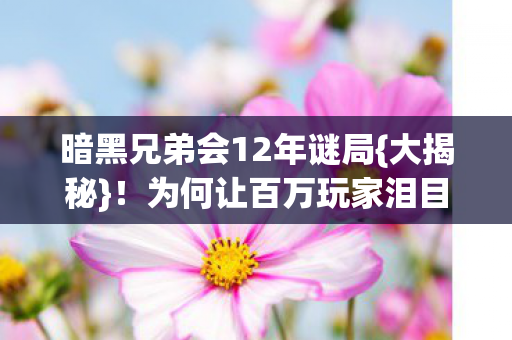 暗黑兄弟会12年谜局图片