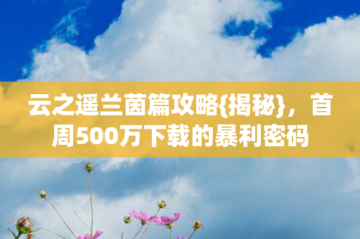 首周500万下载的暴利密码图片