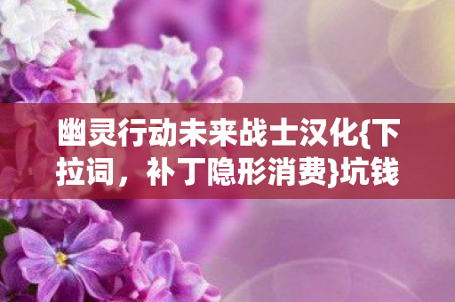 幽灵行动未来战士汉化图片