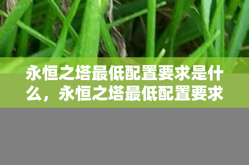 永恒之塔最低配置要求是什么图片