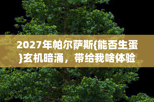 2027年帕尔萨斯图片