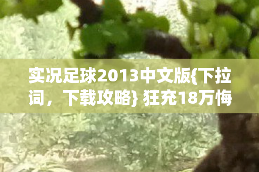 实况足球2013中文版图片
