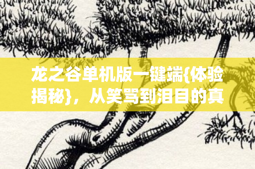 龙之谷单机版一键端图片