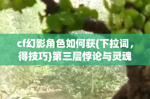 第三层悖论与灵魂震颤图片