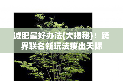 跨界联名新玩法瘦出天际图片