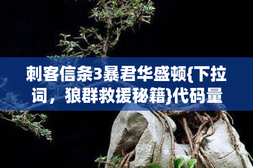刺客信条3暴君华盛顿图片